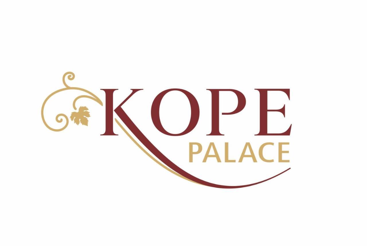 Kope Palace 第比利斯 外观 照片